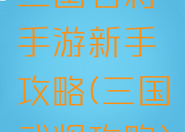 三国名将手游新手攻略(三国武将攻略)