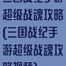 三国战纪手游超级战魂攻略(三国战纪手游超级战魂攻略视频)