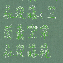 三国霸王单机攻略(三国霸王单机攻略视频)