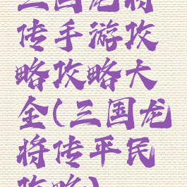 三国龙将传手游攻略攻略大全(三国龙将传平民攻略)