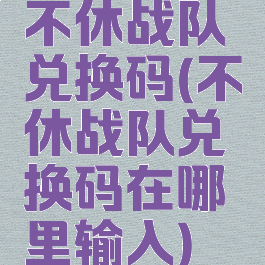 不休战队兑换码(不休战队兑换码在哪里输入)