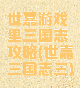 世嘉游戏里三国志攻略(世嘉三国志三)