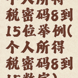 个人所得税密码8到15位举例(个人所得税密码8到15数字)