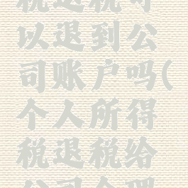 个人所得税退税可以退到公司账户吗(个人所得税退税给公司合理吗)