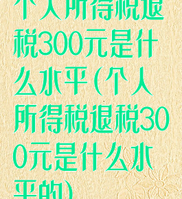 个人所得税退税300元是什么水平(个人所得税退税300元是什么水平的)