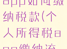 个人所得税app如何缴纳税款(个人所得税app缴纳流程)