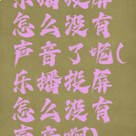 乐播投屏怎么没有声音了呢(乐播投屏怎么没有声音啊)