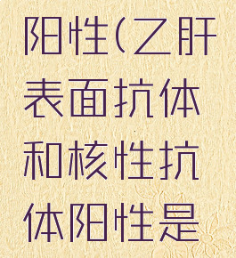 乙肝表面核性抗体阳性(乙肝表面抗体和核性抗体阳性是乙肝吗传染吗)