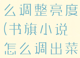 书旗小说怎么调整亮度(书旗小说怎么调出菜单)