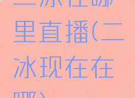 二冰在哪里直播(二冰现在在哪)