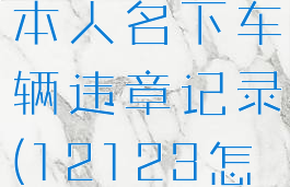 交管12123怎么查询本人名下车辆违章记录(12123怎么查个人名下车辆)