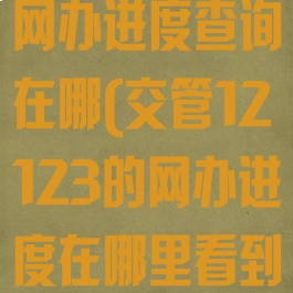 交管12123网办进度查询在哪(交管12123的网办进度在哪里看到)