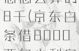 京东白条利息怎么算的8千(京东白条借8000要多少利息)