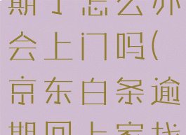 京东白条逾期了怎么办会上门吗(京东白条逾期回上家找吗)