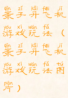 亲子开飞机游戏玩法(亲子开飞机游戏玩法图片)