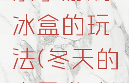 亲子游戏冰盒的玩法(冬天的亲子游戏)