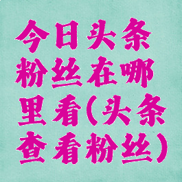 今日头条粉丝在哪里看(头条查看粉丝)