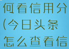 今日头条如何看信用分(今日头条怎么查看信用分)