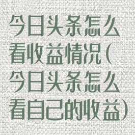 今日头条怎么看收益情况(今日头条怎么看自己的收益)