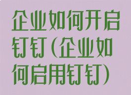 企业如何开启钉钉(企业如何启用钉钉)