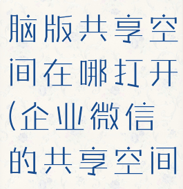 企业微信电脑版共享空间在哪打开(企业微信的共享空间是什么)