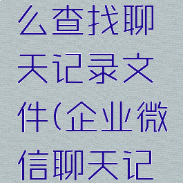 企业微信电脑版怎么查找聊天记录文件(企业微信聊天记录在哪里看)