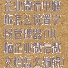 企业微信电脑版怎么设置字段管理器(电脑企业微信微文档怎么编辑)