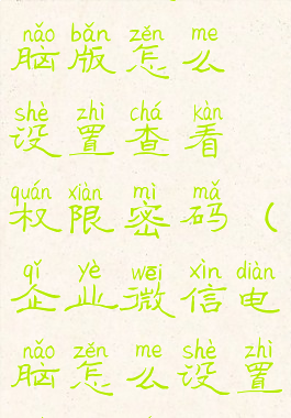 企业微信电脑版怎么设置查看权限密码(企业微信电脑怎么设置管理员)