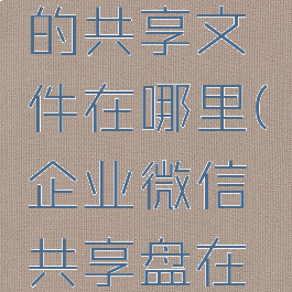 企业微信的共享文件在哪里(企业微信共享盘在哪里)