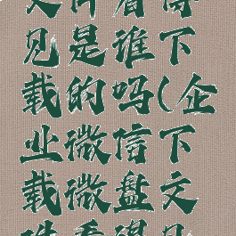 企业微信下载微盘文件看得见是谁下载的吗(企业微信下载微盘文件看得见是谁下载的吗)
