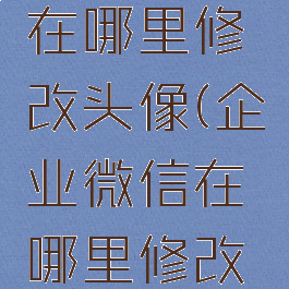 企业微信在哪里修改头像(企业微信在哪里修改头像啊)