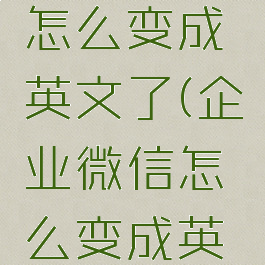 企业微信怎么变成英文了(企业微信怎么变成英文了啊)