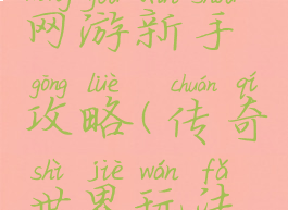 传奇世界网游新手攻略(传奇世界玩法攻略)
