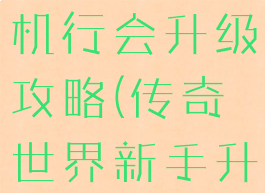 传奇世界单机行会升级攻略(传奇世界新手升级攻略)
