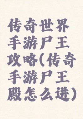 传奇世界手游尸王攻略(传奇手游尸王殿怎么进)