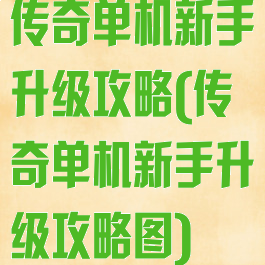 传奇单机新手升级攻略(传奇单机新手升级攻略图)