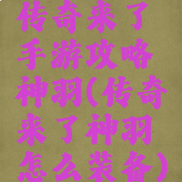 传奇来了手游攻略神羽(传奇来了神羽怎么装备)