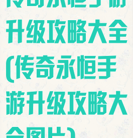 传奇永恒手游升级攻略大全(传奇永恒手游升级攻略大全图片)