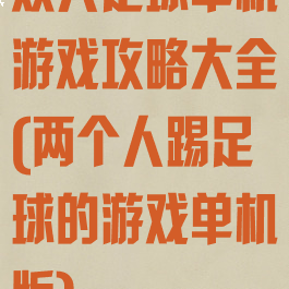 双人足球单机游戏攻略大全(两个人踢足球的游戏单机版)