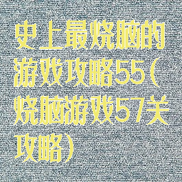 史上最烧脑的游戏攻略55(烧脑游戏57关攻略)