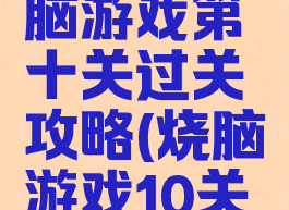 史上最烧脑游戏第十关过关攻略(烧脑游戏10关全攻略)