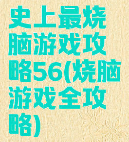 史上最烧脑游戏攻略56(烧脑游戏全攻略)