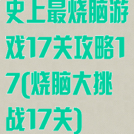 史上最烧脑游戏17关攻略17(烧脑大挑战17关)