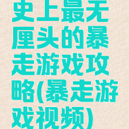 史上最无厘头的暴走游戏攻略(暴走游戏视频)