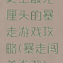 史上最无厘头的暴走游戏攻略(暴走闯关游戏)