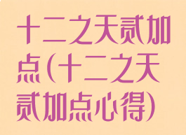 十二之天贰加点(十二之天贰加点心得)