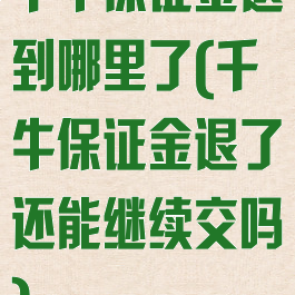 千牛保证金退到哪里了(千牛保证金退了还能继续交吗)