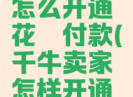 千牛卖家怎么开通花呗付款(千牛卖家怎样开通花呗支付)