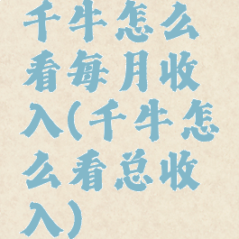 千牛怎么看每月收入(千牛怎么看总收入)