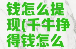 千牛赚的钱怎么提现(千牛挣得钱怎么提现)
